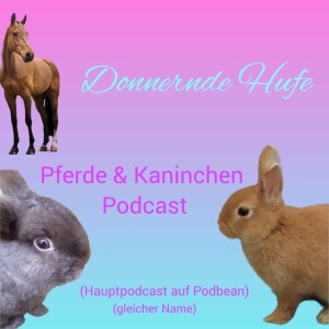 Donnernde Hufe   Pferde und Kaninchen Podcast