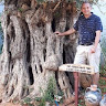 Benzi Shavit