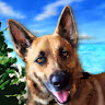 Profile logo