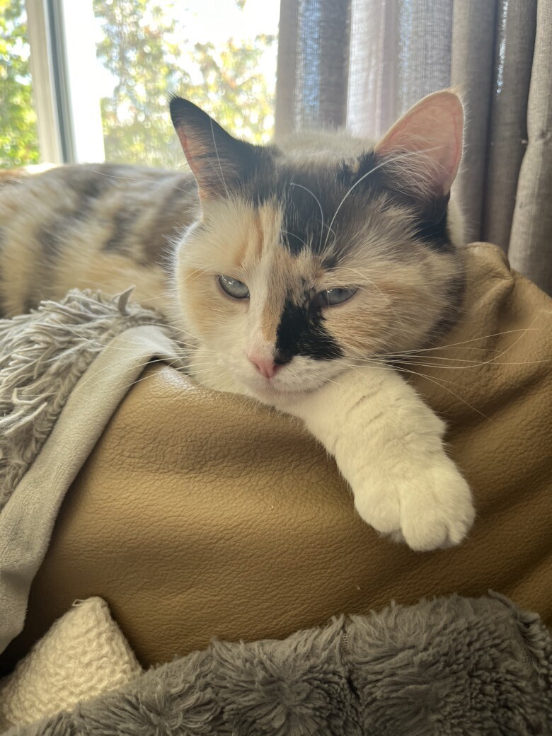 Renée