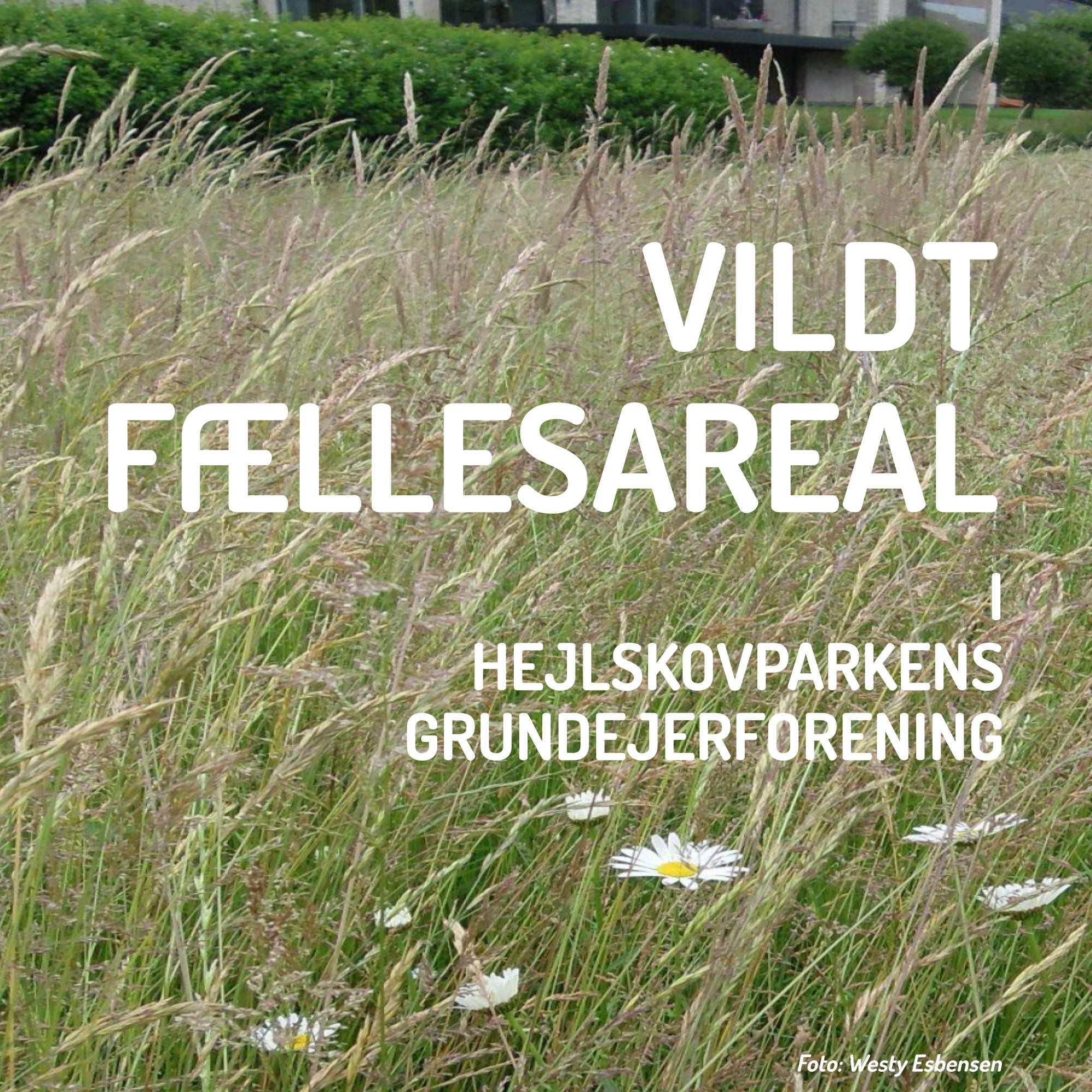 Vildt fællesareal - i Hejlskovparkens grundejerforening