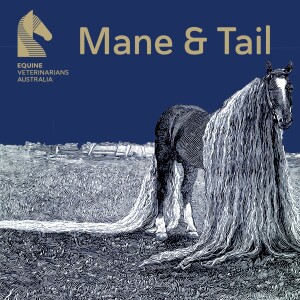 Equine Veterinarians Australia - Mane & Tail Podcast