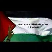 mohds81