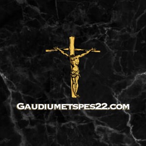 Gaudiumetspes22 podcast