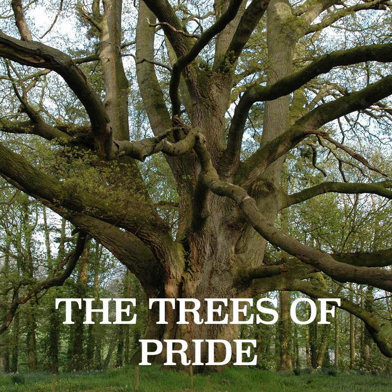 The Trees of Pride﻿