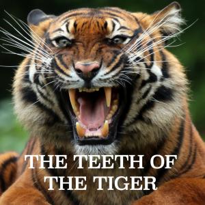 The Teeth of the Tiger﻿