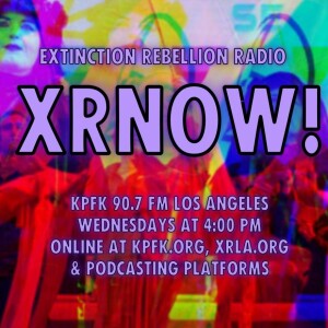 XRNOW!