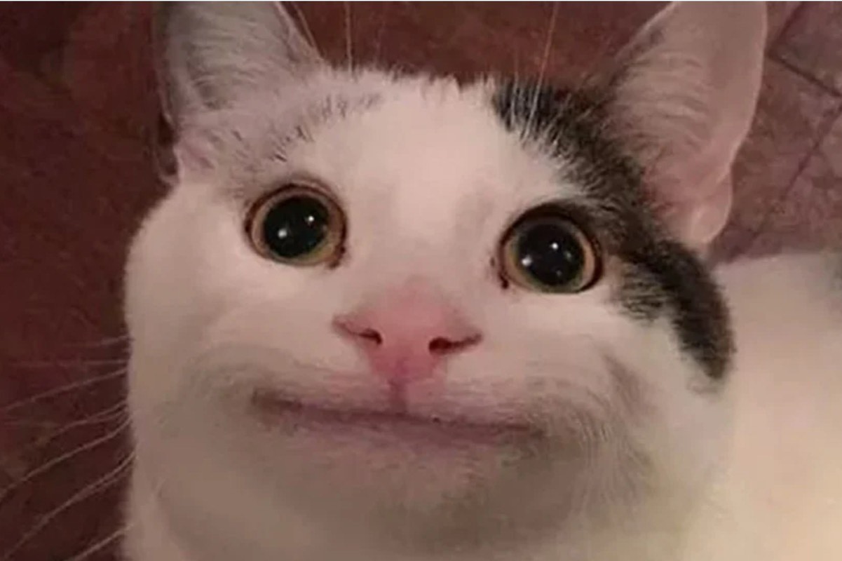 noee