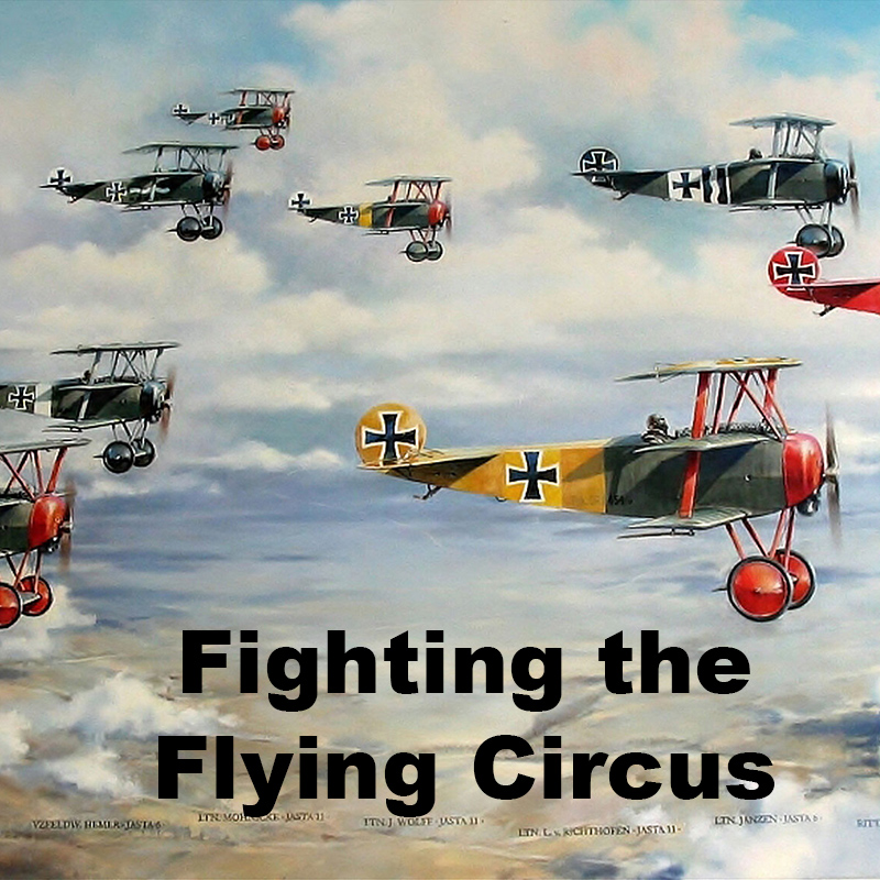 Fighting the Flying Circus