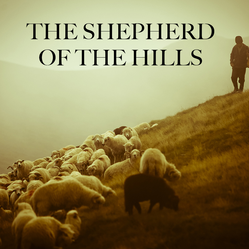 The Shepherd of the Hills