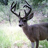 Jason Miller Outdoors