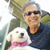 Daniel D Roy