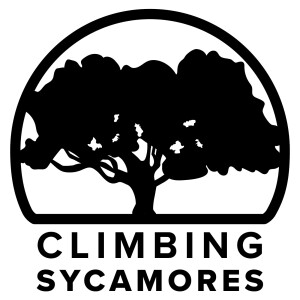 Climbing Sycamores