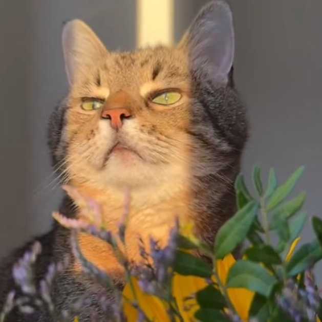 مخاطب ناشناس۱۱