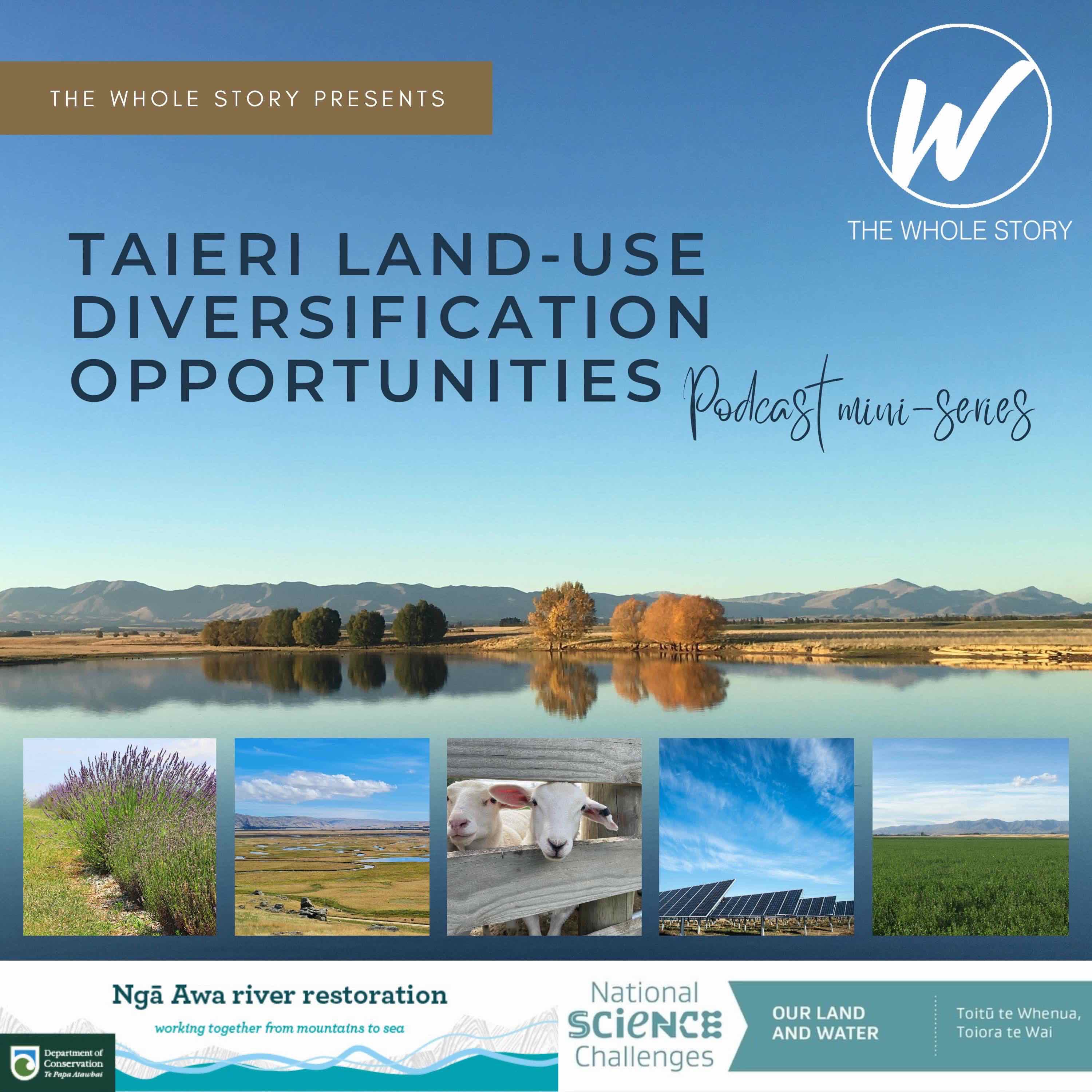 Taieri Land Use Diversification Opportunities