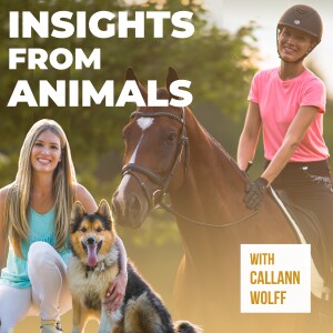 Lyme Disease in My Animals and Me
