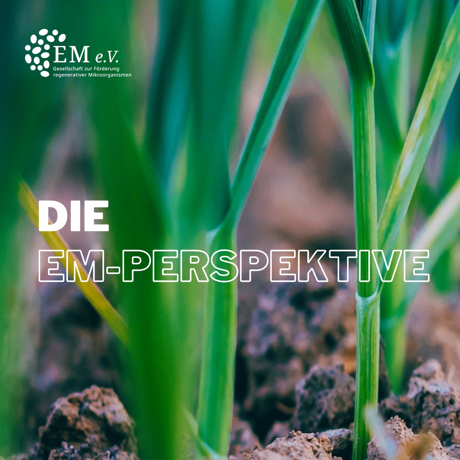 Die EM-Perspektive