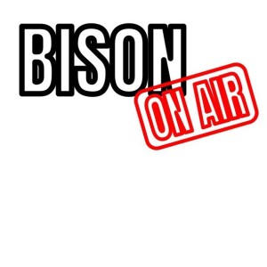 Bison on Air