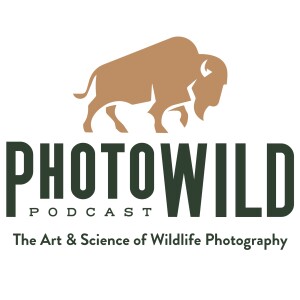 Episode 6: Winter Challenges with Wildlife Photography