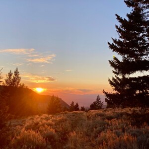 Episode 15: Fare Thee Well :)