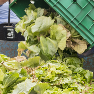 The thing I’d like to see change in the world is Food Waste in America.