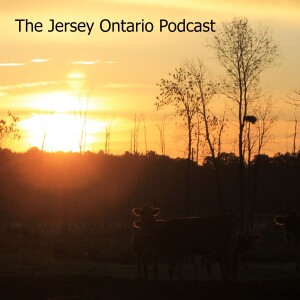 The Jersey road (1)