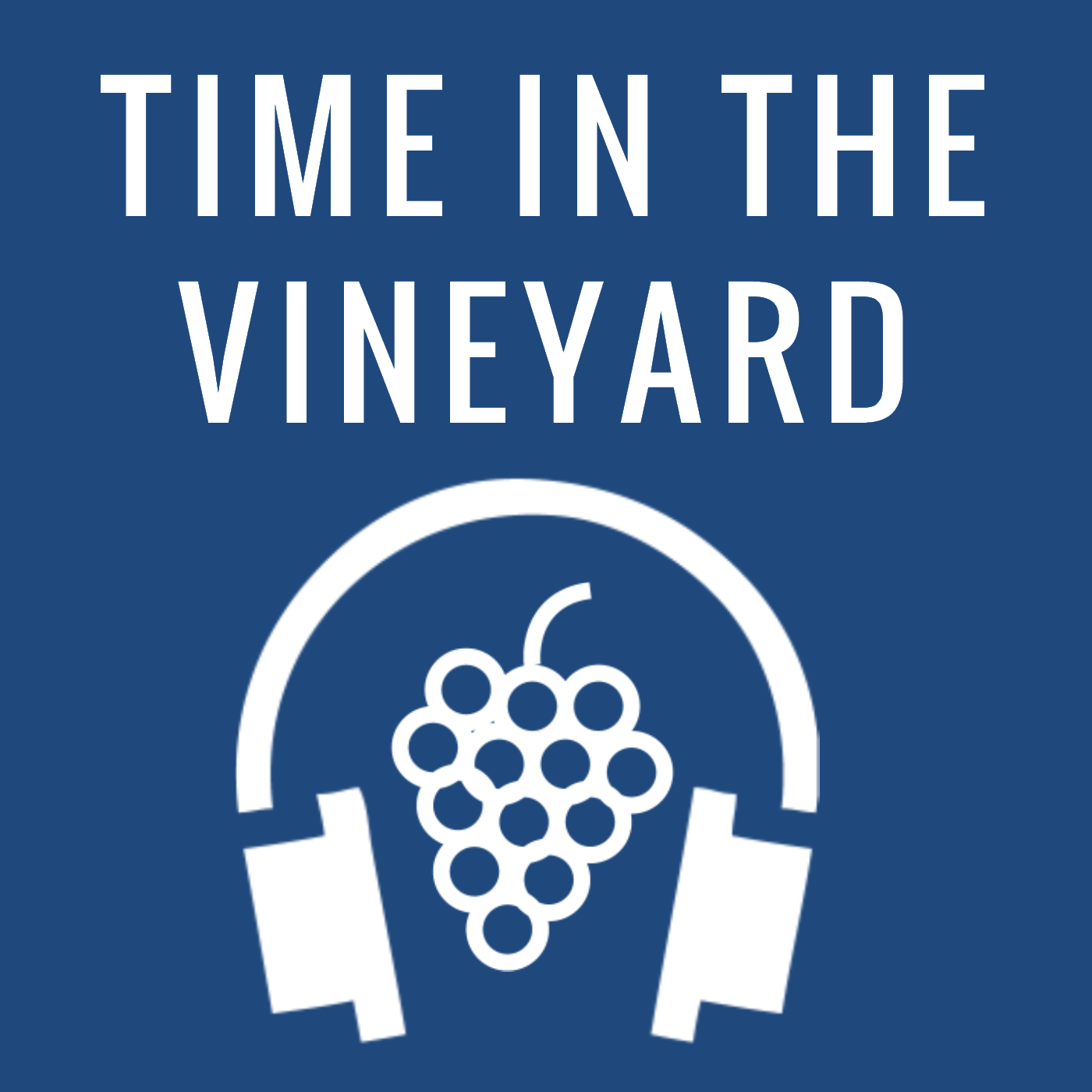 Time in the Vineyard