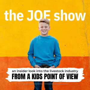the JOE show