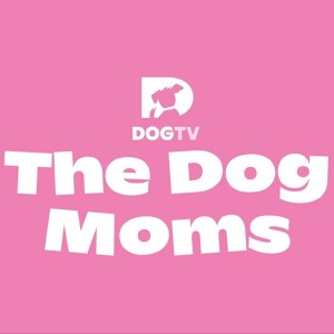 The Dog Moms Episode 21: Dr. Courtney Campbell