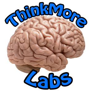 ThinkMore Labs