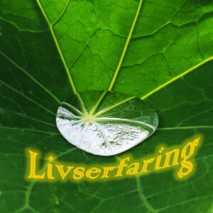 Livserfaring