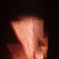 Lisa Red Von Hohenfels