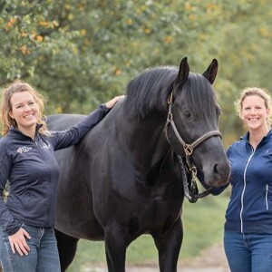 Paardenprofesionals powered by Hoefslag ’Welzijn en ondernemerschap’