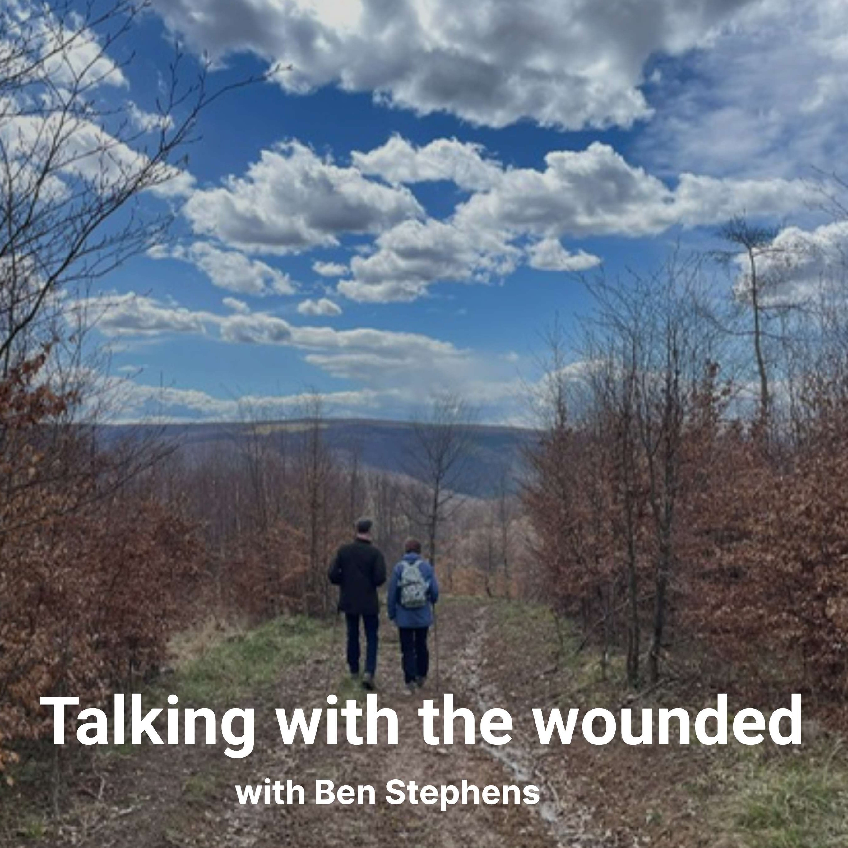 Talking with the wounded