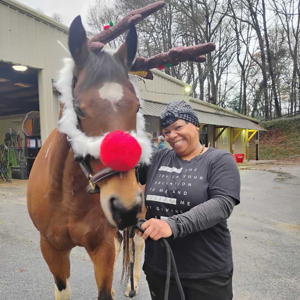 The Joy Of Horses 🐎