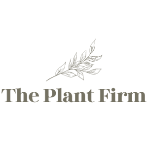 Plant Nursery North Carolina - The Plant Firm
