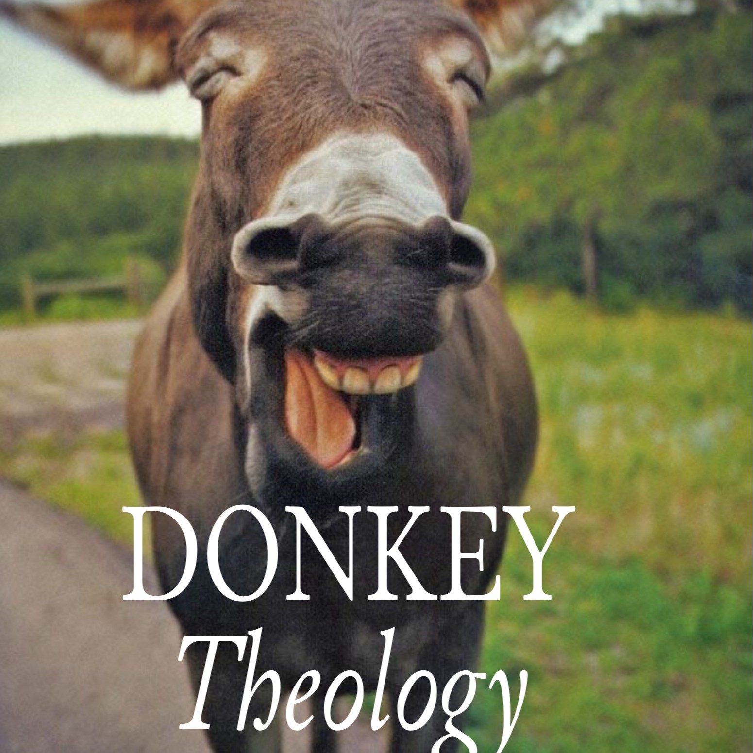 Donkey Theology