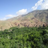 Mohsen Damavandi