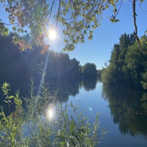 The Holistic Podcast