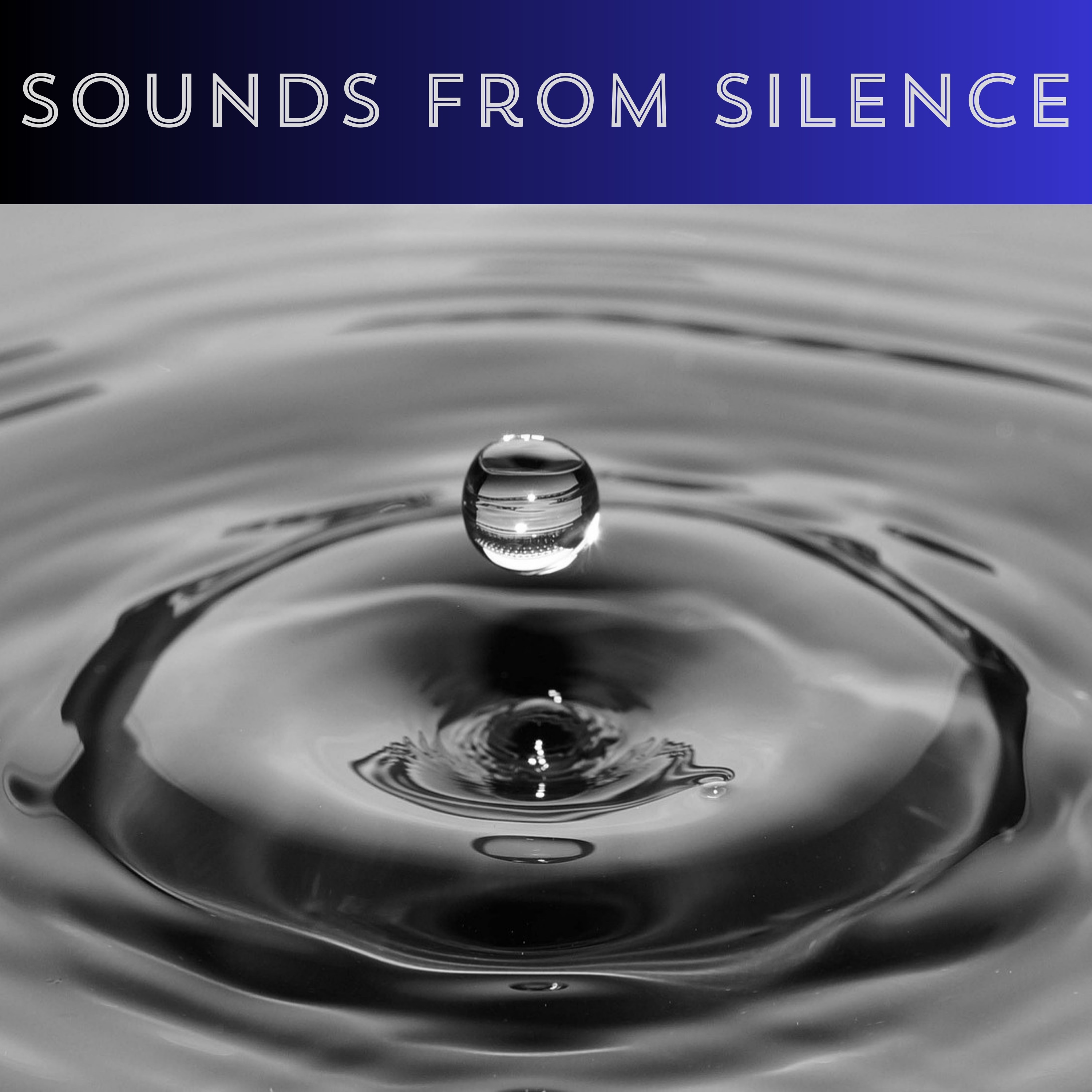 Sounds from Silence