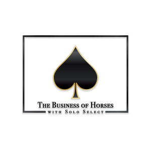 The Business of Horses with Solo Select