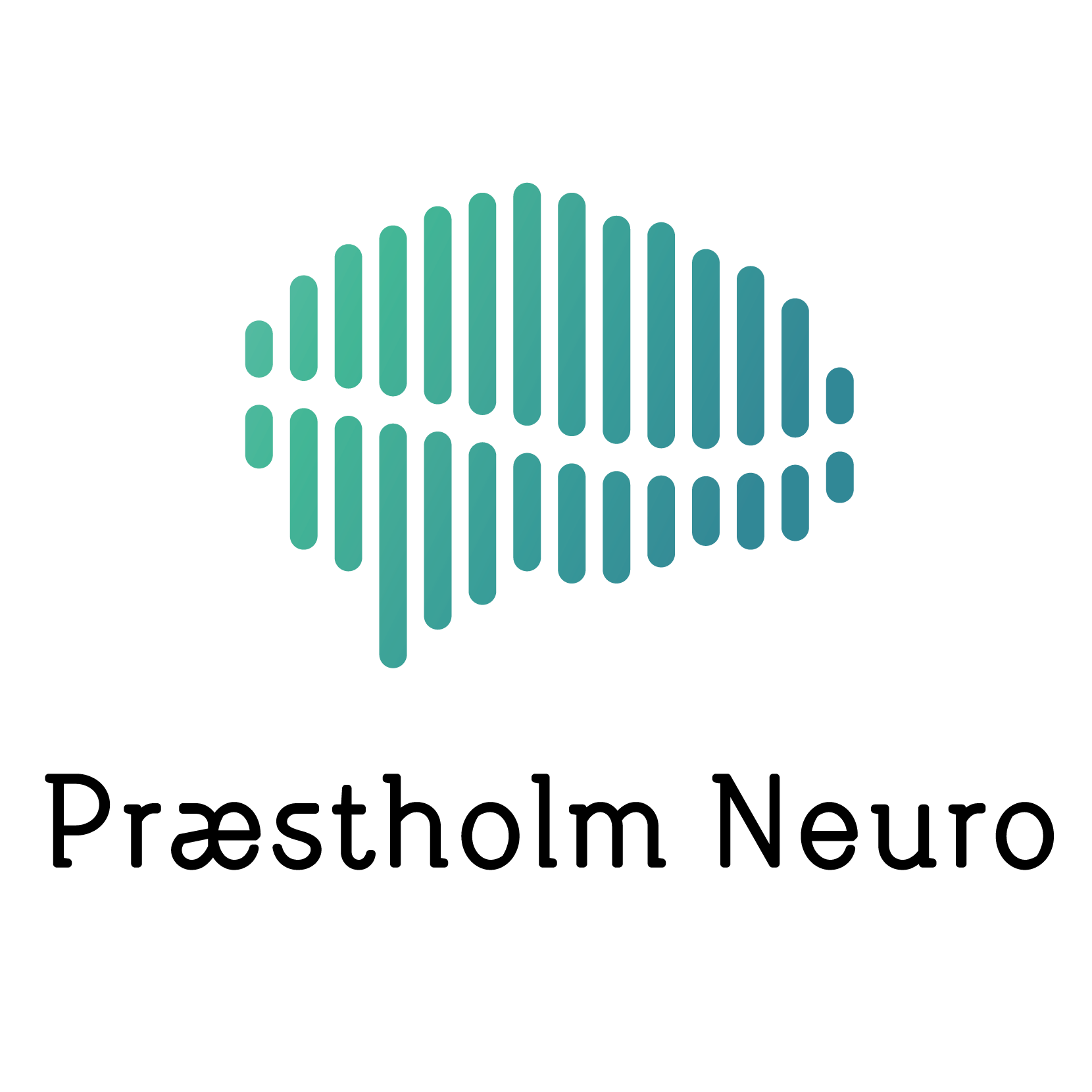 Så kan du lære det! af Magnus Præstholm