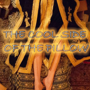 May 17, 2024 The Cool Side of the Pillow