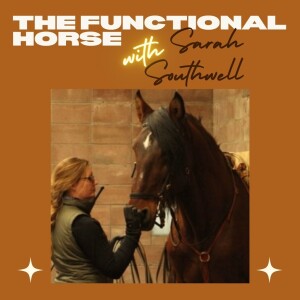The Functional Horse