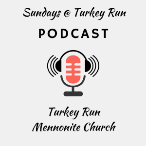 Sundays @ Turkey Run
