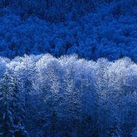 Luana Mendes Pereira