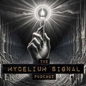 User Podcast Logo