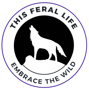 This Feral Life