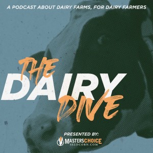Understanding ”Large” Farms (with Tara Vander Dussen) | MC Podcast 77