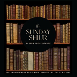 The Sunday Shiur By Rabbi Yoel Plutchok